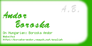 andor boroska business card